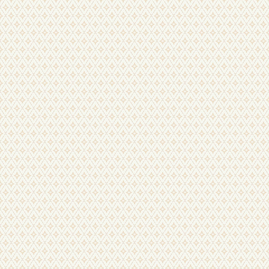 Lillstjärna, White/Pink