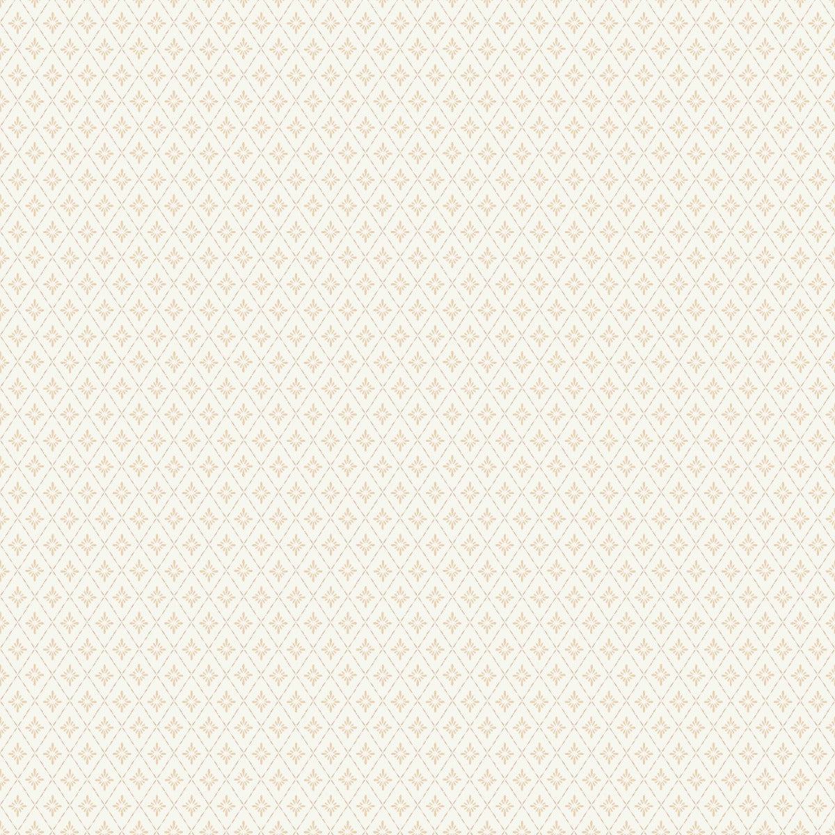 Lillstjärna, White/Pink