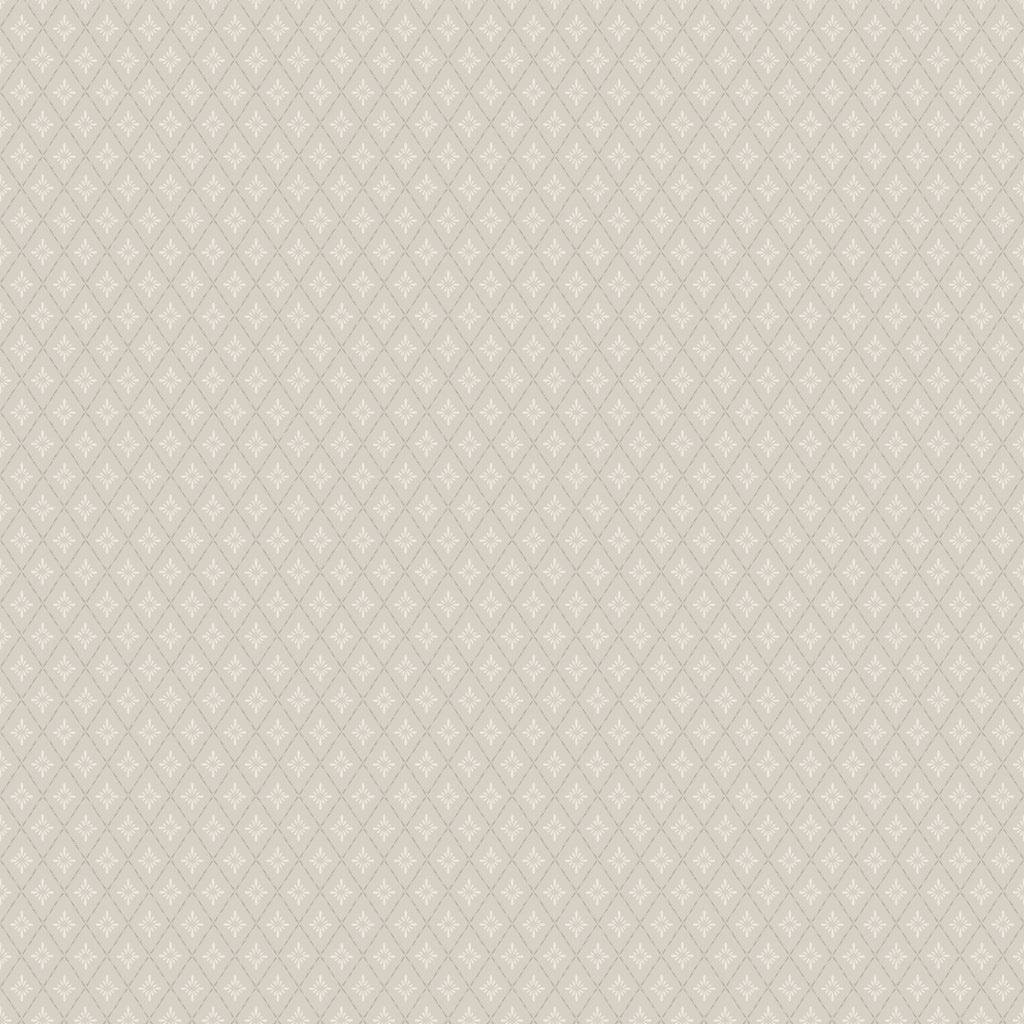 Lillstjärna, Beige/Brown
