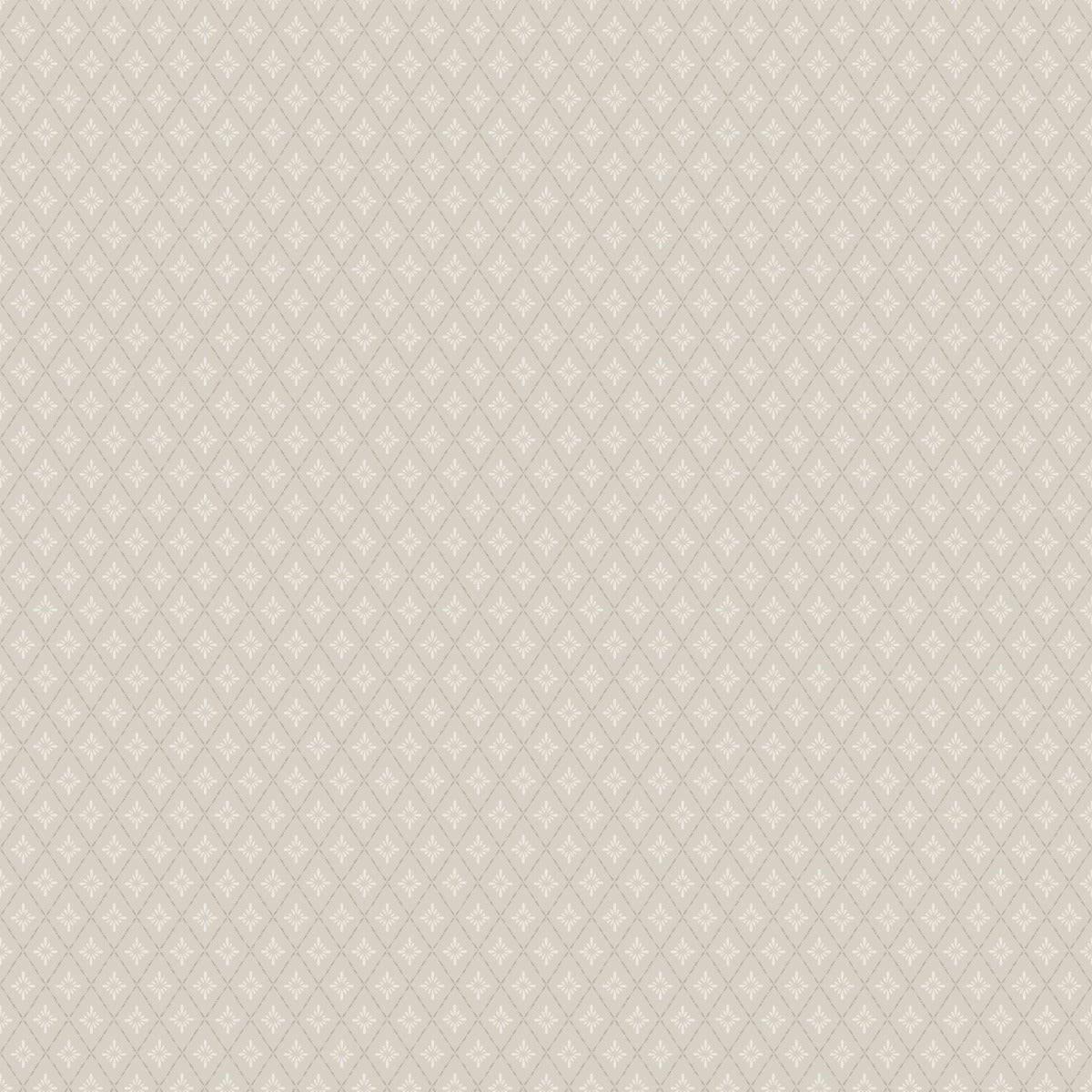Lillstjärna, Beige/Brown