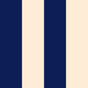 Ryde - Blue & Beige