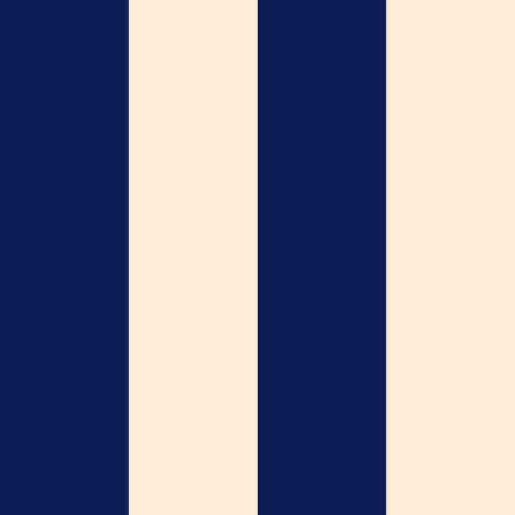 Ryde - Blue & Beige