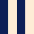Ryde - Blue & Beige