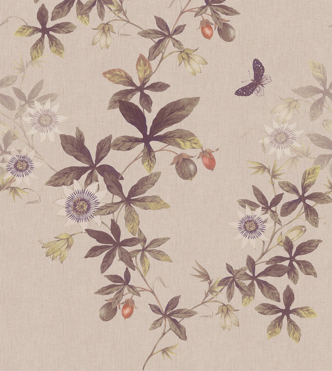 Passiflora, Multi