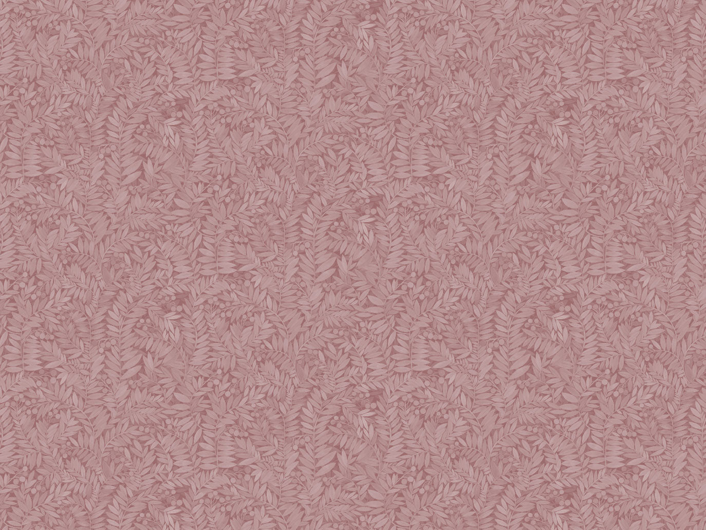 Eve - Rose