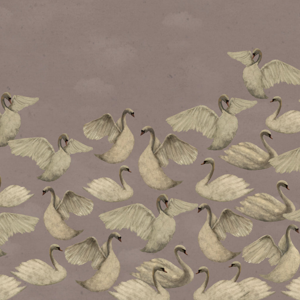 Night Swans - Dusty Pink