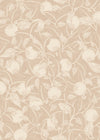 Pomegranate - Dusty Peach