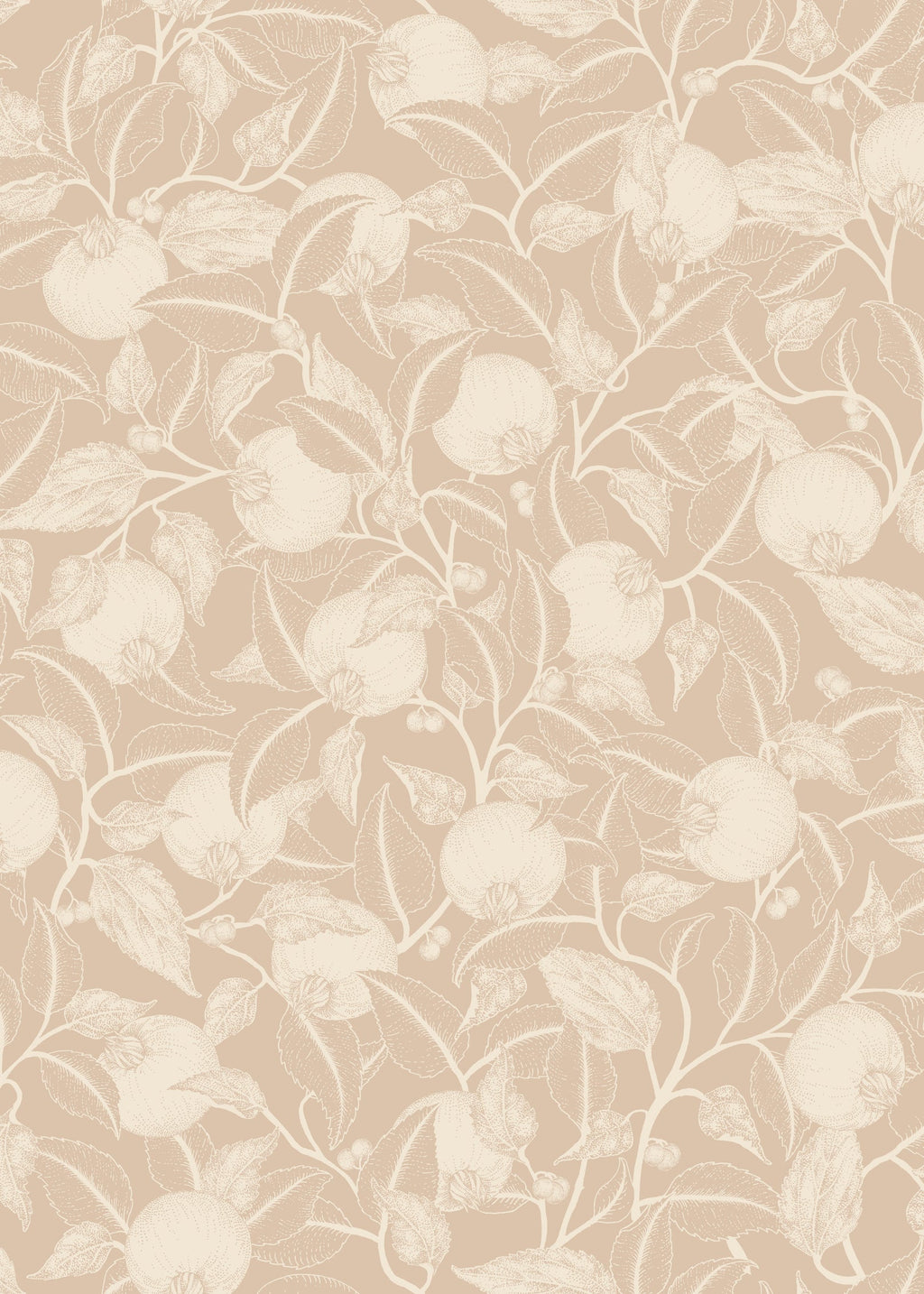 Pomegranate - Dusty Peach