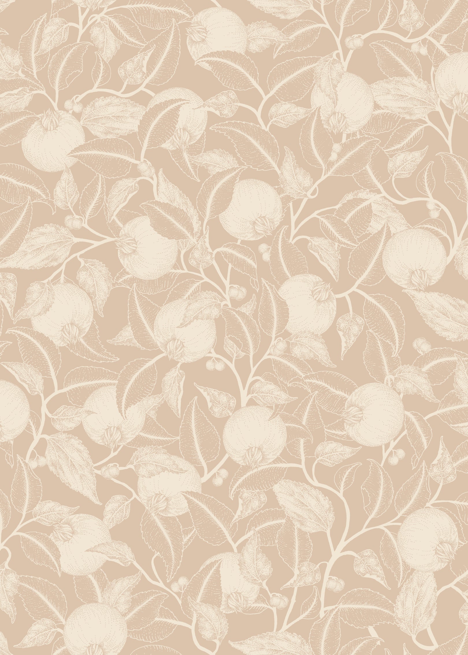 Pomegranate - Dusty Peach