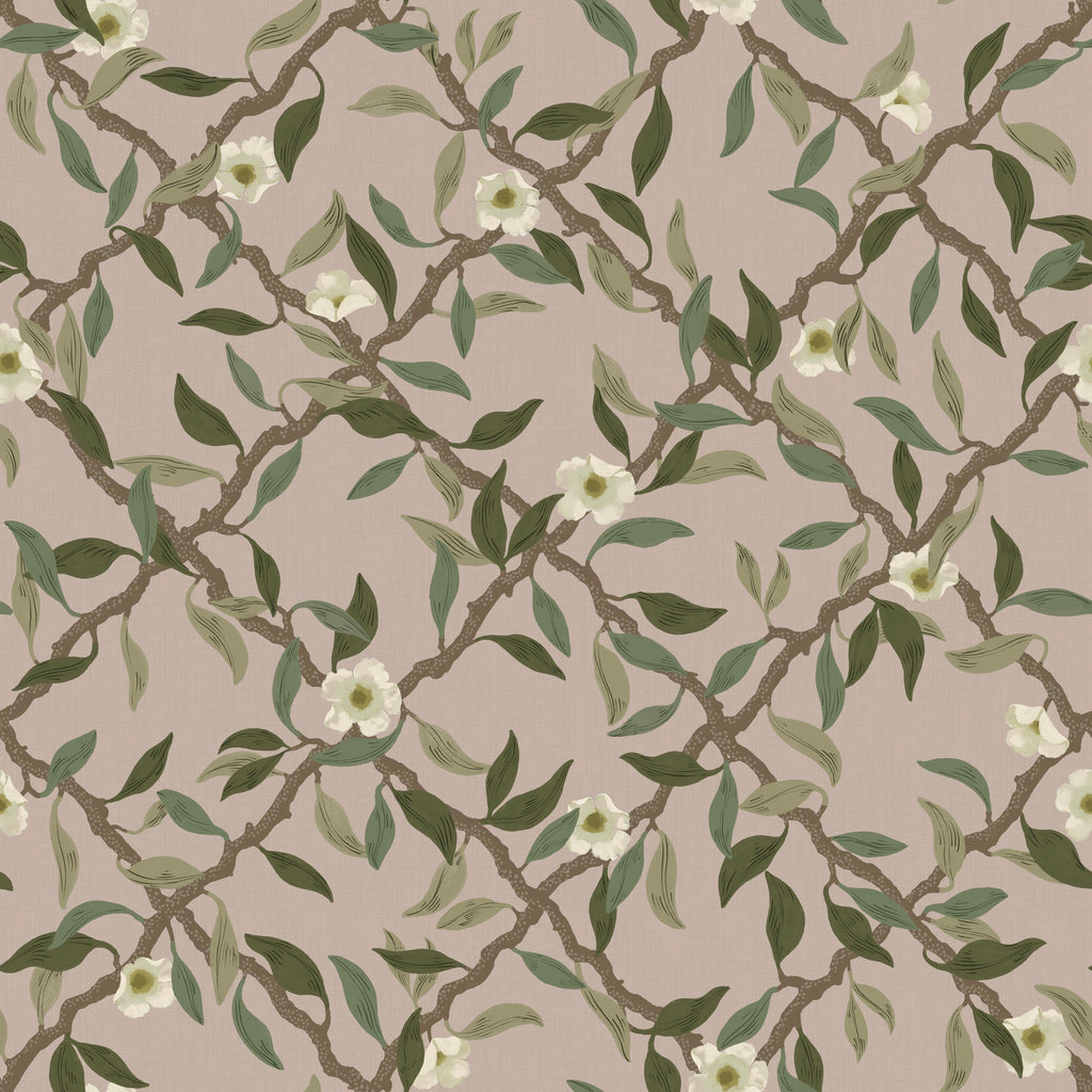 Espalier - Dusty Pink