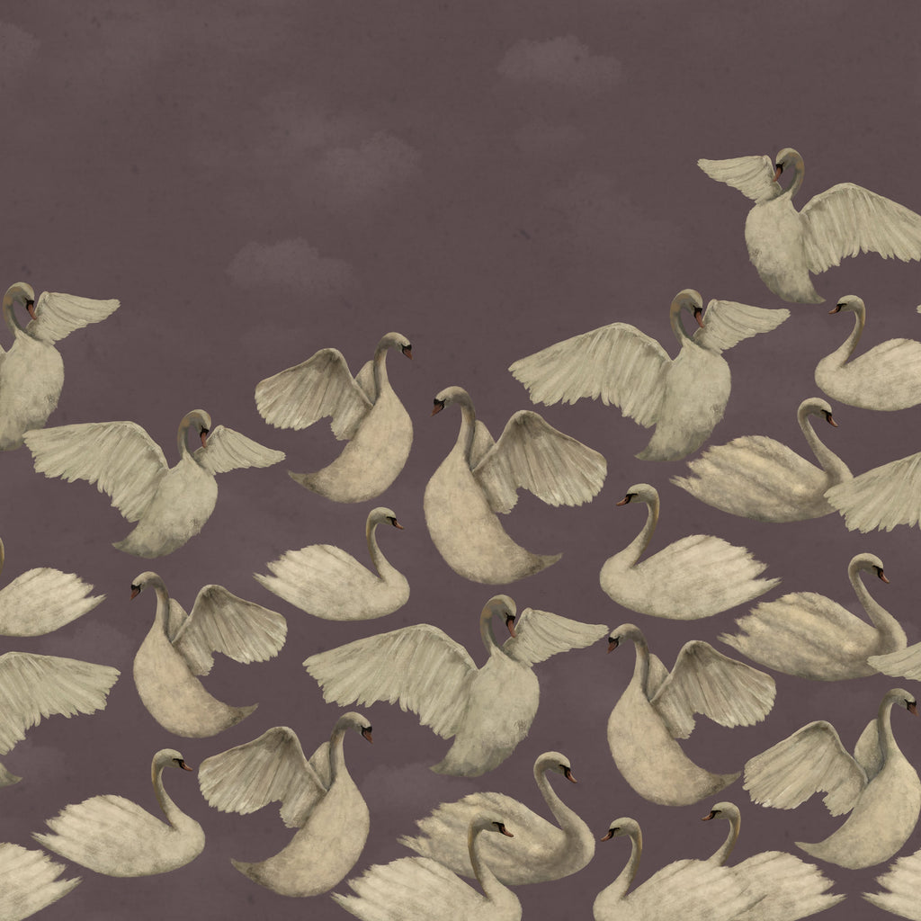Night Swans - Mauve