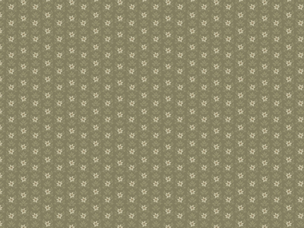 Wood Anemone - Green