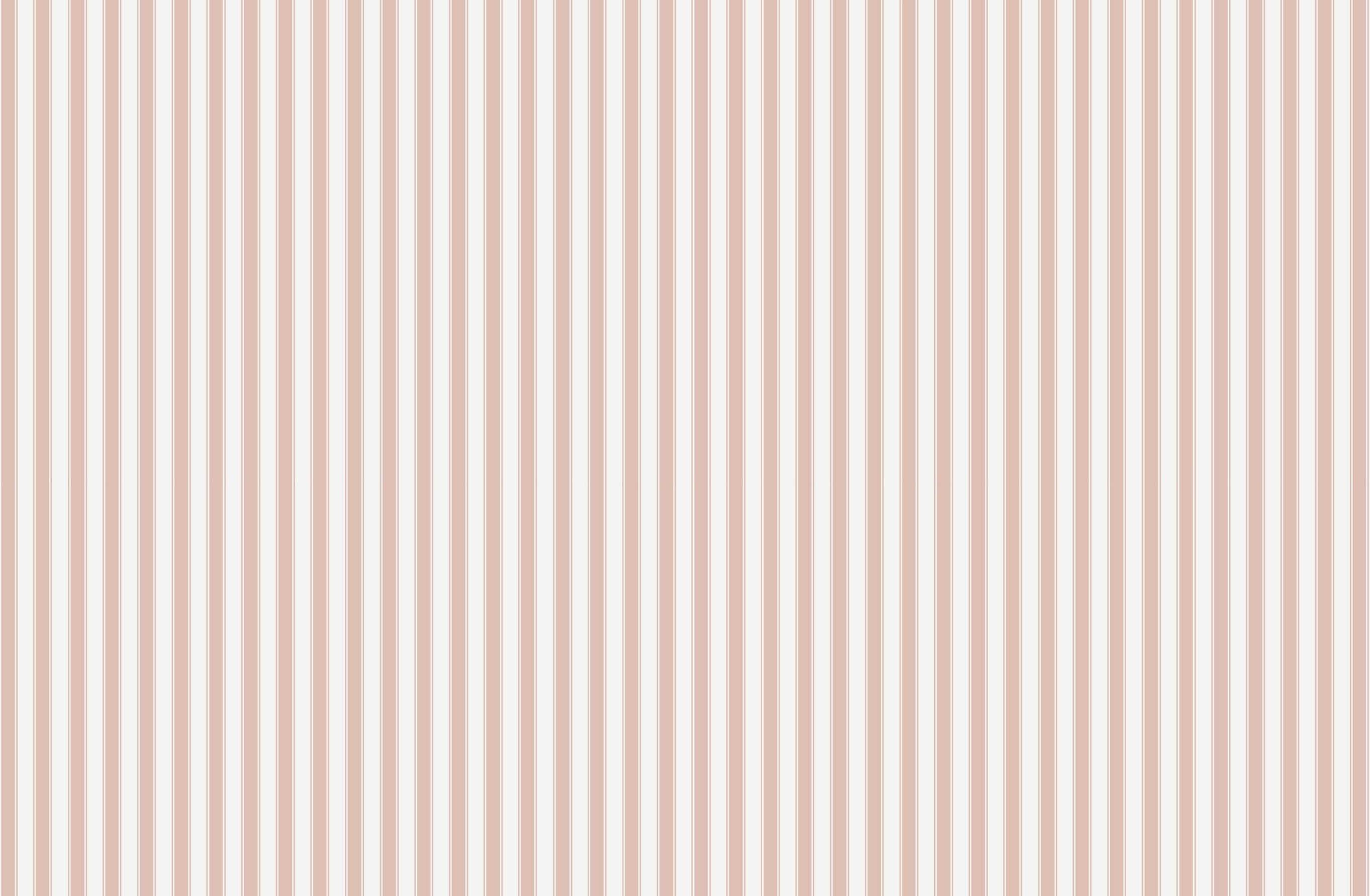 French - Rose