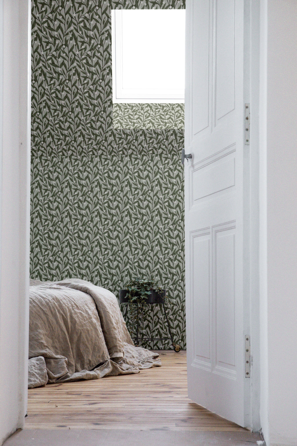 Anemone - Dark Green