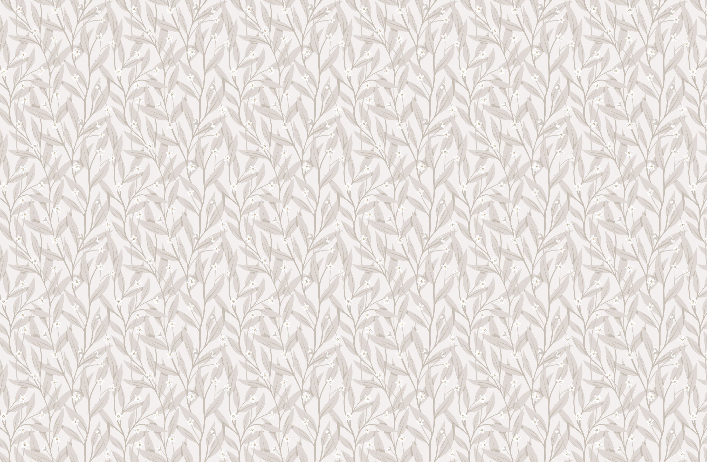 Anemone - White