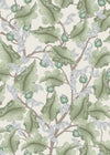 Ranunculus - Cream & Green