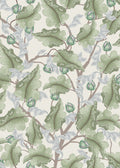Ranunculus - Cream & Green